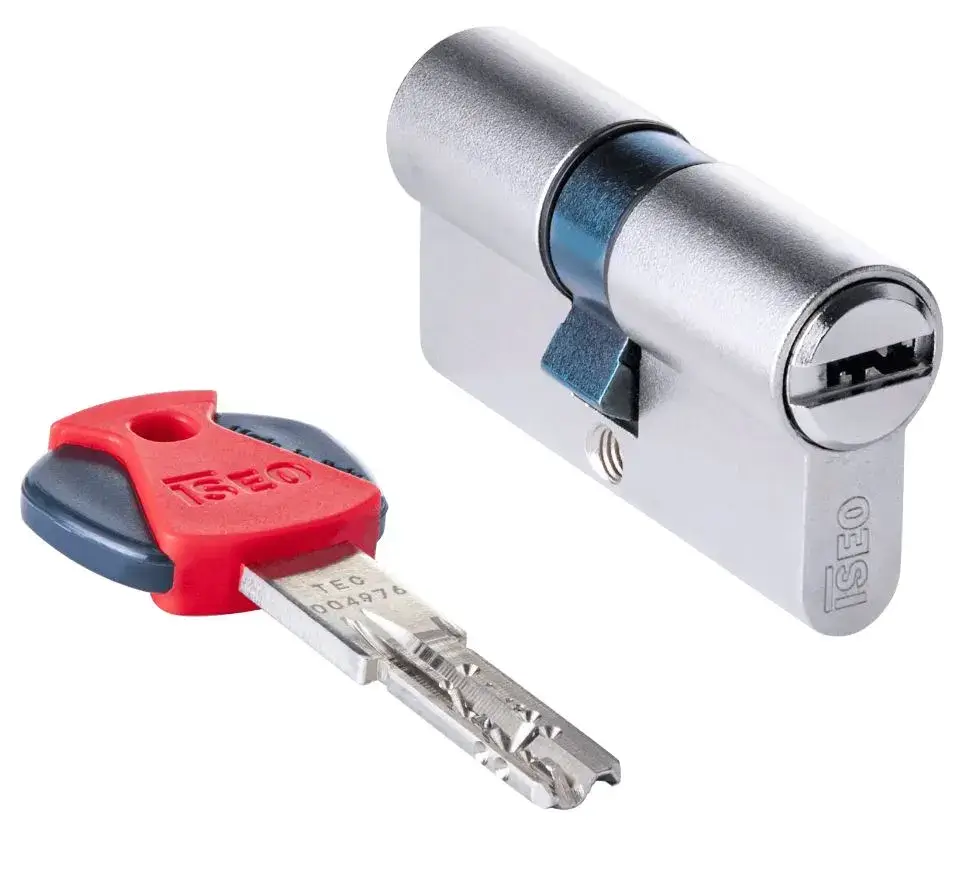 Assistenza Serrature ISEO a Torino