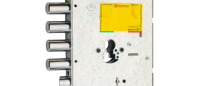 Assistenza Serrature Securemme a Torino Assistenza Serrature Securemme a Torino